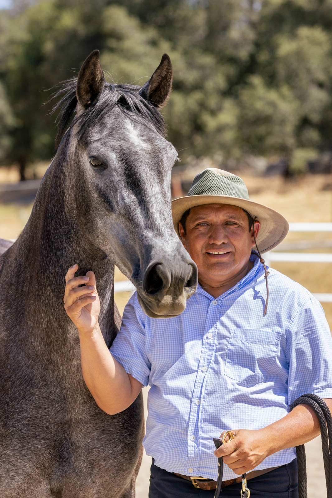 Carlos Estrada, Canta Rana Ranch Trainer - PRE Horses for Sale in California